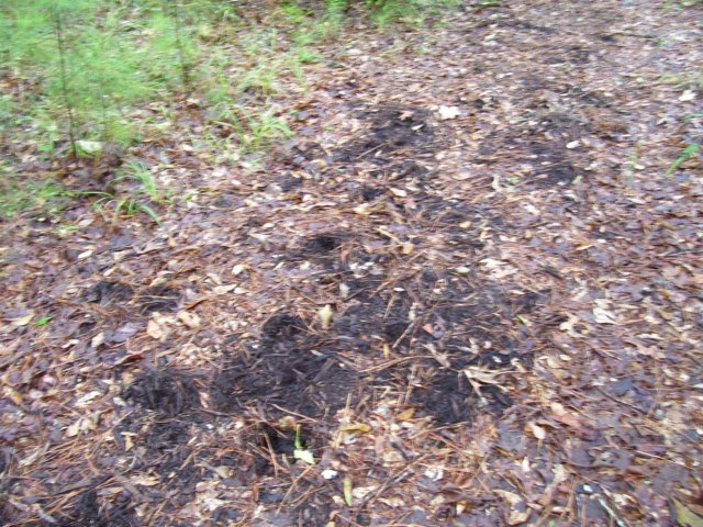 photo37.jpg