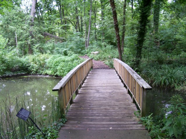 _2368.jpg
