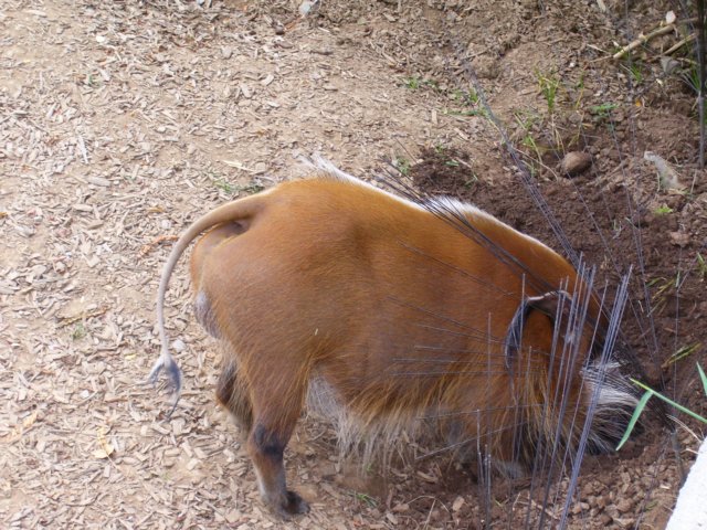 _2226.jpg