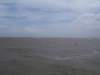 _2823_small.jpg