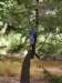 _3205_small.jpg