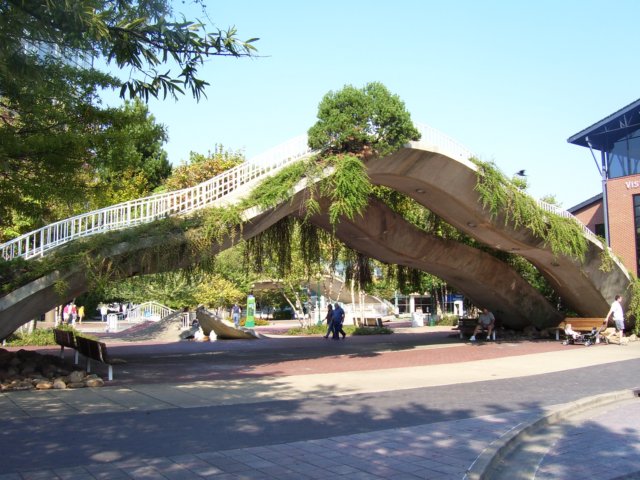 _4038.jpg
