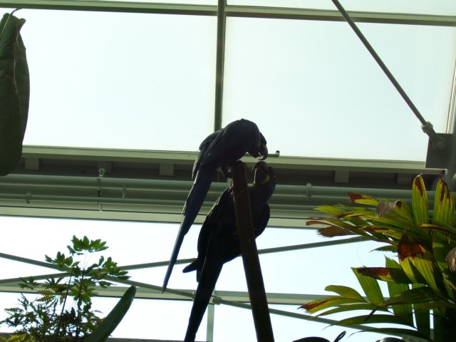 _4050.jpg
