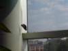_4086_small.jpg