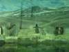 _4114_small.jpg