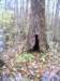 _5163_small.jpg