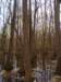 _5166_small.jpg