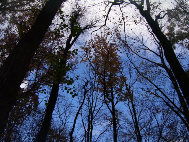 _5206.jpg