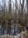 _5216_small.jpg