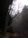 _5856_small.jpg