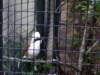 _5957_small.jpg