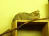 _6219_small.jpg