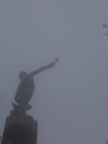 _6294.jpg