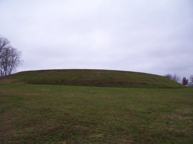 _6489.jpg