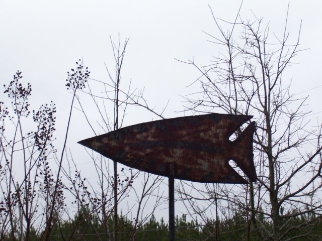 _6504.jpg