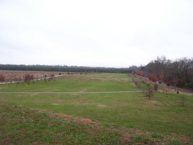 viewfromthetop.jpg