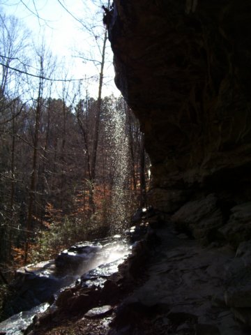 _6540.jpg