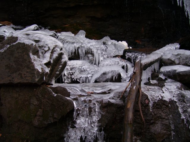 _6571.jpg