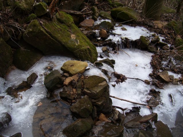 _6574.jpg