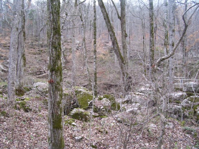 _7019.jpg