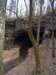 _7036_small.jpg