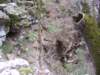 sinkholeformeropeningofthecave_small.jpg