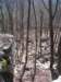 _7108_small.jpg