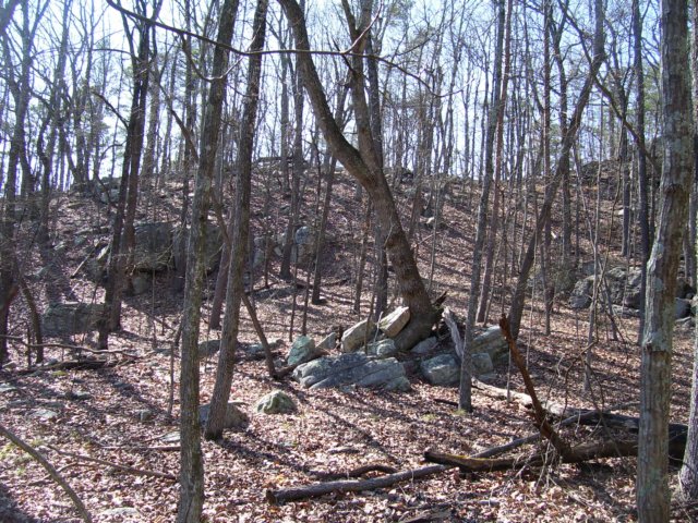 _7134.jpg