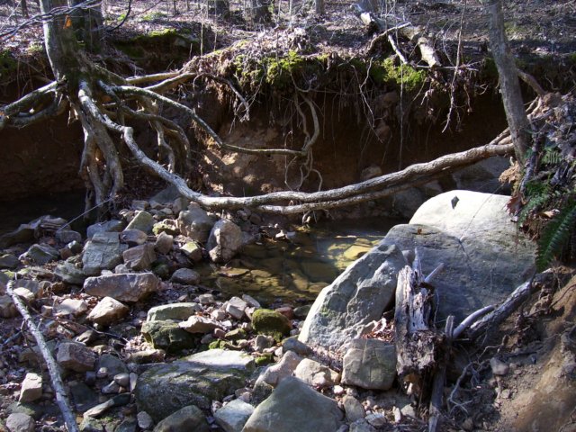 _7151.jpg