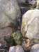 _7157_small.jpg