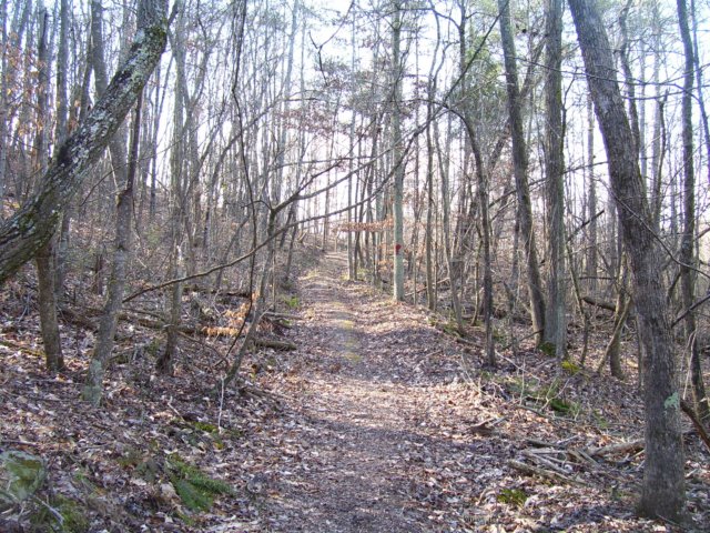 _7166.jpg