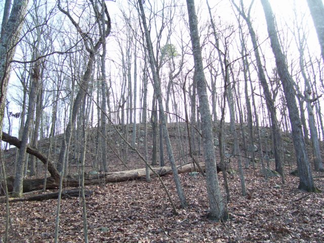 graveyardhill.jpg