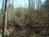 kingschapeltrail_small.jpg