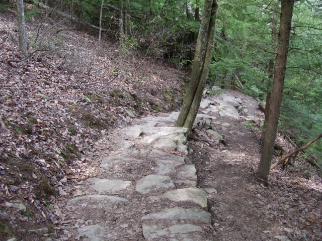 _8520.jpg