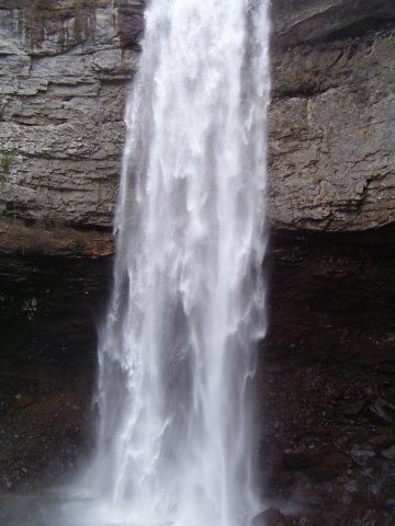 _8563.jpg