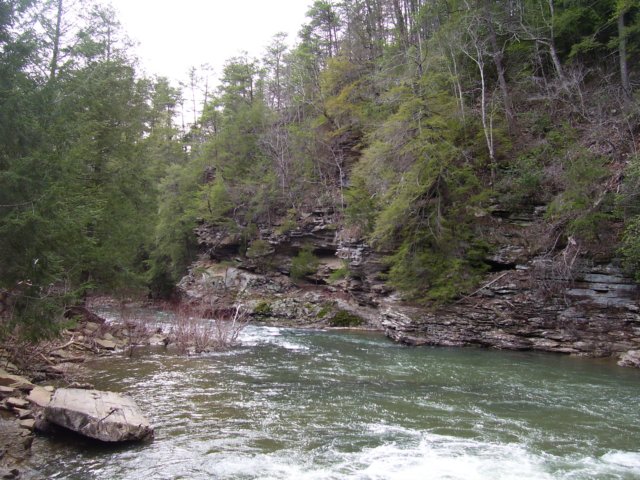 _8619.jpg