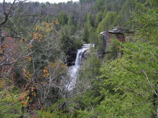 pineycreekfalls.jpg