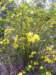 _8887_small.jpg