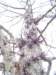 _8901_small.jpg