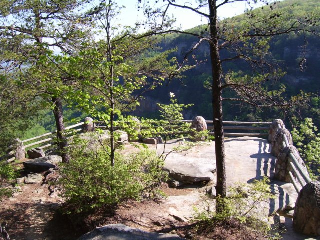 _9244.jpg