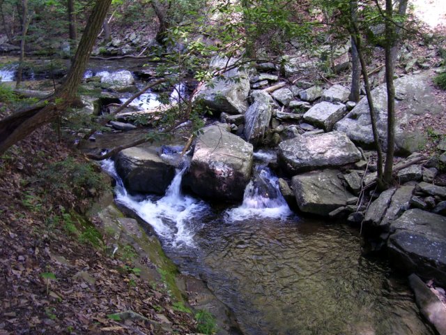 _9268.jpg