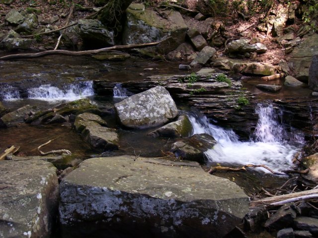 _9271.jpg