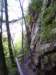 _9296_small.jpg