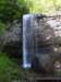 _9313_small.jpg