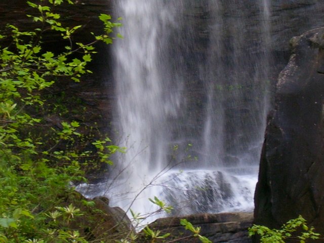 _9314.jpg