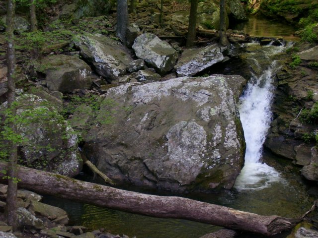 _9320.jpg