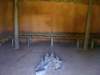 _9357_small.jpg