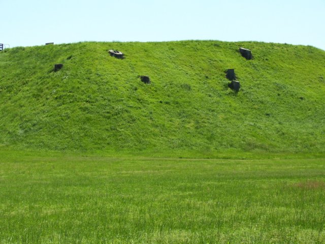 _9364.jpg