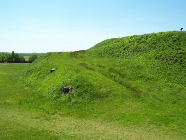 _9389.jpg