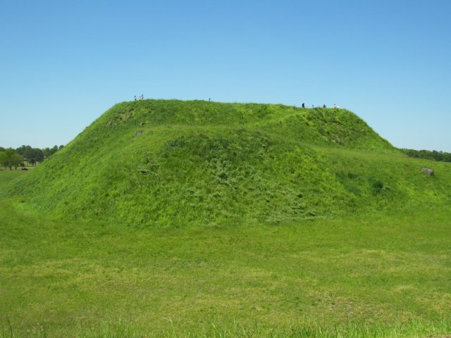 _9395.jpg